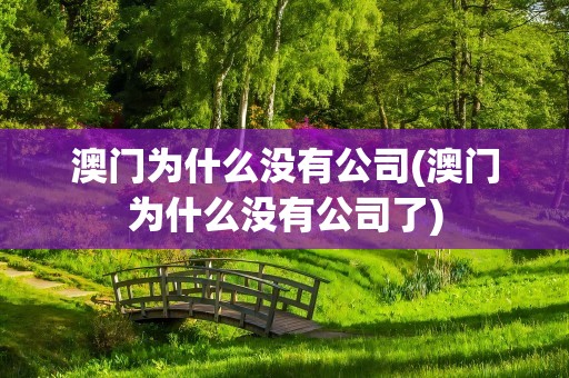 澳门为什么没有公司(澳门为什么没有公司了)