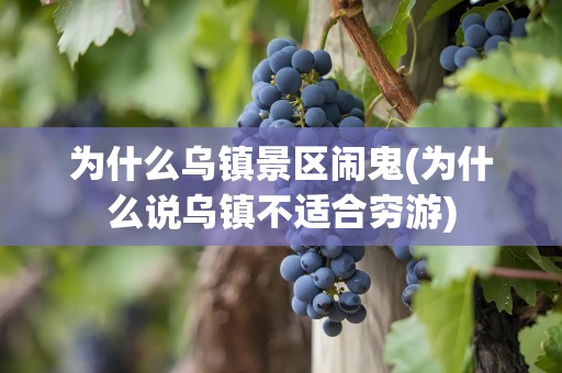 为什么乌镇景区闹鬼(为什么说乌镇不适合穷游)