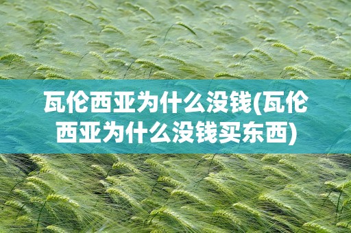 瓦伦西亚为什么没钱(瓦伦西亚为什么没钱买东西)