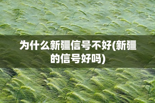 为什么新疆信号不好(新疆的信号好吗)