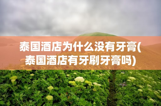 泰国酒店为什么没有牙膏(泰国酒店有牙刷牙膏吗)