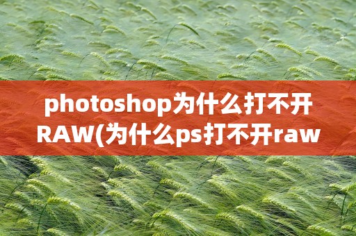 photoshop为什么打不开RAW(为什么ps打不开raw格式图片)