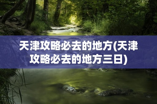 天津攻略必去的地方(天津攻略必去的地方三日)