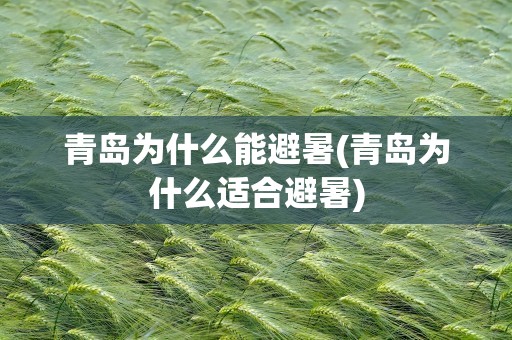 青岛为什么能避暑(青岛为什么适合避暑)