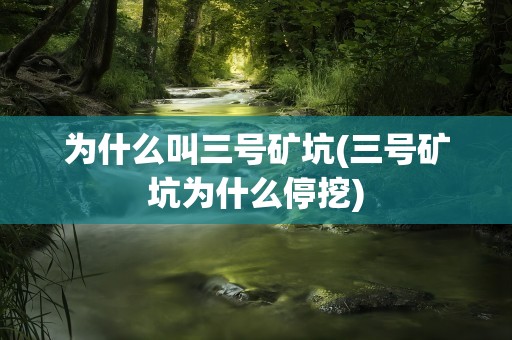 为什么叫三号矿坑(三号矿坑为什么停挖)
