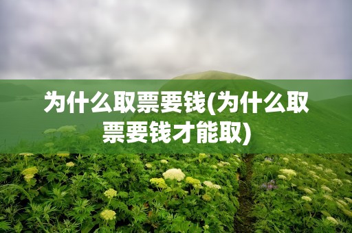 为什么取票要钱(为什么取票要钱才能取)