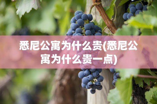悉尼公寓为什么贵(悉尼公寓为什么贵一点)