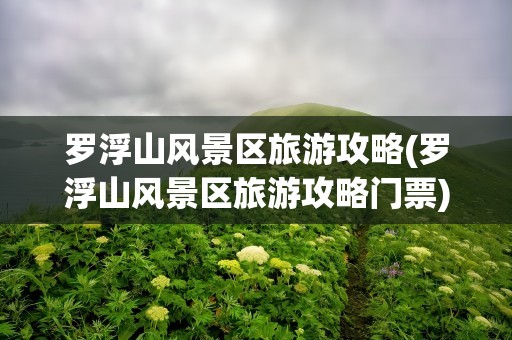 罗浮山风景区旅游攻略(罗浮山风景区旅游攻略门票)
