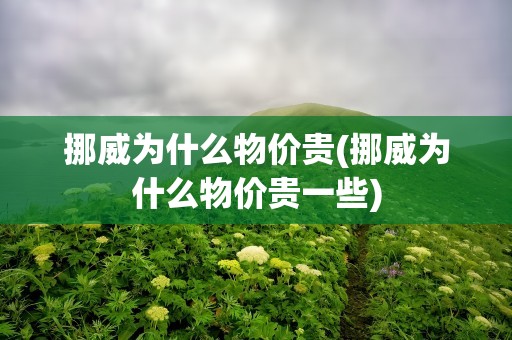 挪威为什么物价贵(挪威为什么物价贵一些)