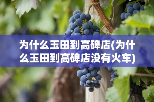 为什么玉田到高碑店(为什么玉田到高碑店没有火车)