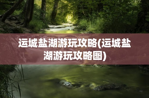 运城盐湖游玩攻略(运城盐湖游玩攻略图)
