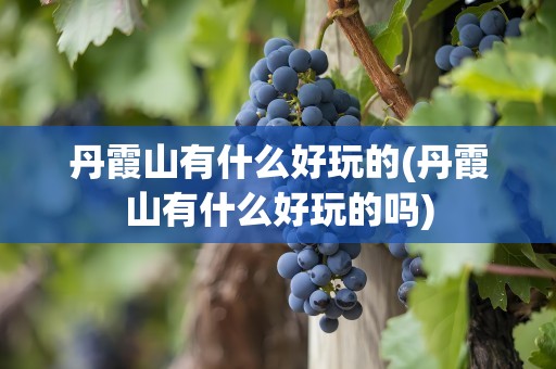 丹霞山有什么好玩的(丹霞山有什么好玩的吗)