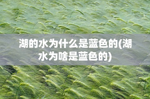 湖的水为什么是蓝色的(湖水为啥是蓝色的)