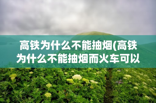 高铁为什么不能抽烟(高铁为什么不能抽烟而火车可以)