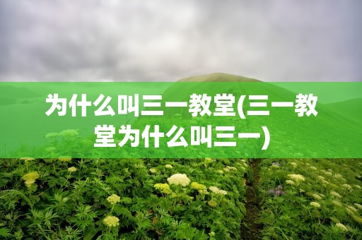 为什么叫三一教堂(三一教堂为什么叫三一)