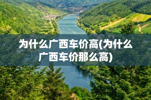 为什么广西车价高(为什么广西车价那么高)