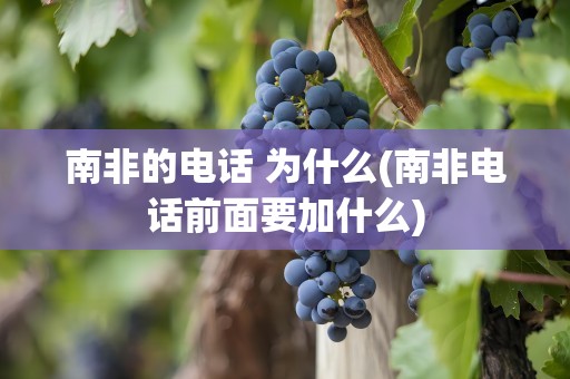 南非的电话 为什么(南非电话前面要加什么)