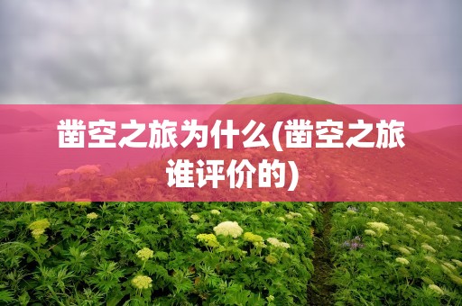 凿空之旅为什么(凿空之旅谁评价的)