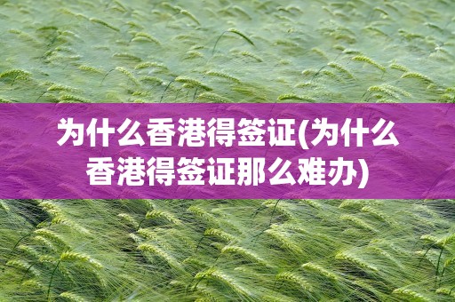 为什么香港得签证(为什么香港得签证那么难办)