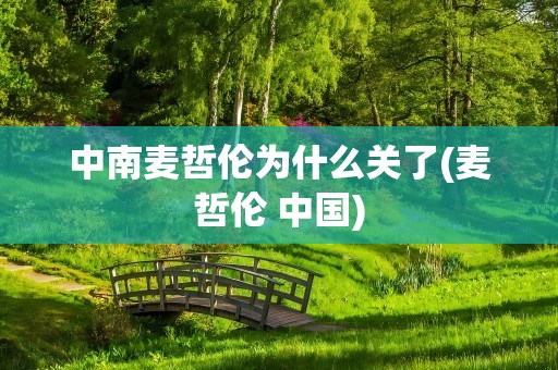 中南麦哲伦为什么关了(麦哲伦 中国)