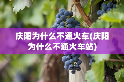 庆阳为什么不通火车(庆阳为什么不通火车站)