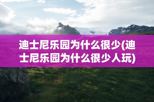 迪士尼乐园为什么很少(迪士尼乐园为什么很少人玩)