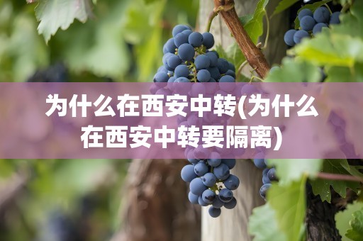 为什么在西安中转(为什么在西安中转要隔离)
