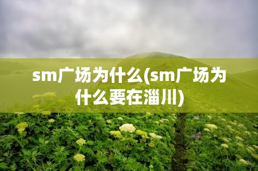 sm广场为什么(sm广场为什么要在淄川)