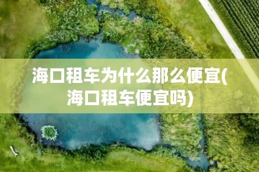 海口租车为什么那么便宜(海口租车便宜吗)