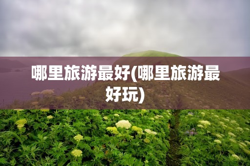 哪里旅游最好(哪里旅游最好玩)