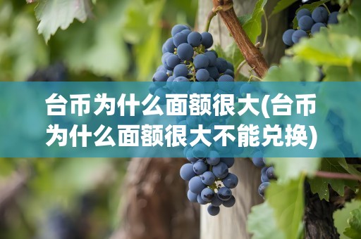 台币为什么面额很大(台币为什么面额很大不能兑换)