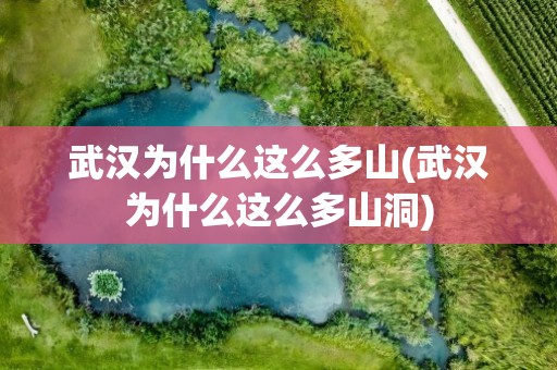 武汉为什么这么多山(武汉为什么这么多山洞)