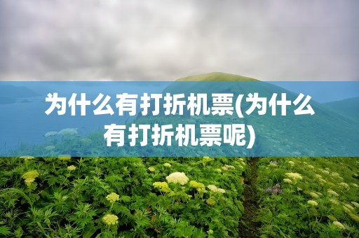 为什么有打折机票(为什么有打折机票呢)