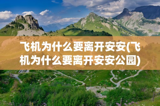飞机为什么要离开安安(飞机为什么要离开安安公园)