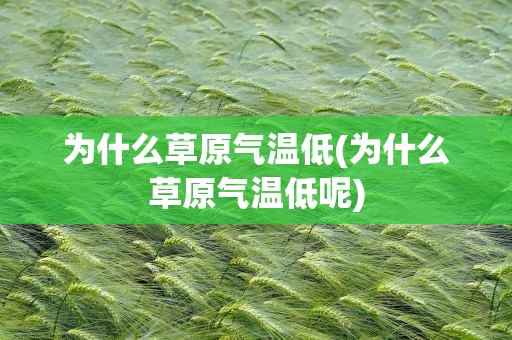 为什么草原气温低(为什么草原气温低呢)