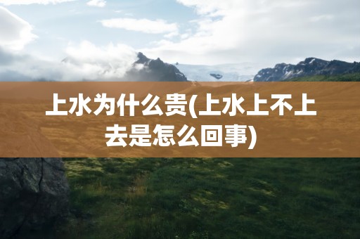 上水为什么贵(上水上不上去是怎么回事)