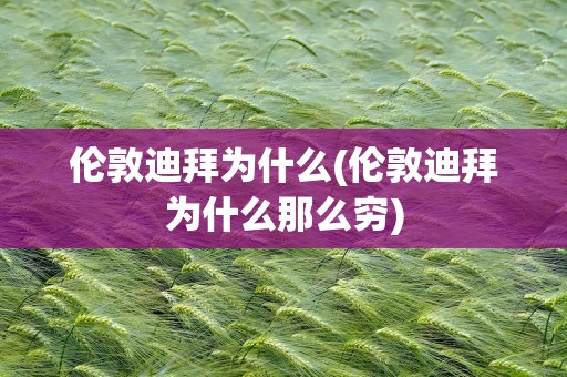 伦敦迪拜为什么(伦敦迪拜为什么那么穷)