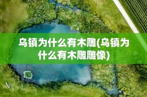乌镇为什么有木雕(乌镇为什么有木雕雕像)