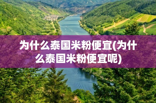 为什么泰国米粉便宜(为什么泰国米粉便宜呢)