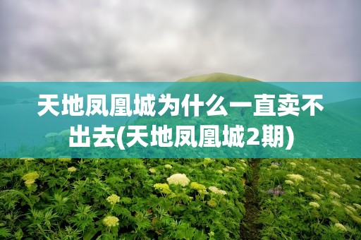 天地凤凰城为什么一直卖不出去(天地凤凰城2期)