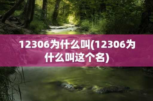 12306为什么叫(12306为什么叫这个名)