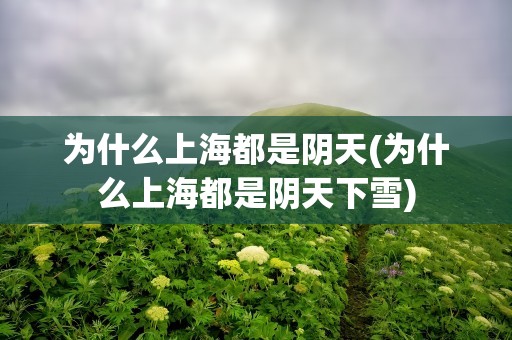 为什么上海都是阴天(为什么上海都是阴天下雪)