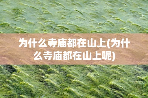 为什么寺庙都在山上(为什么寺庙都在山上呢)