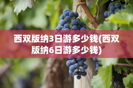 西双版纳3日游多少钱(西双版纳6日游多少钱)