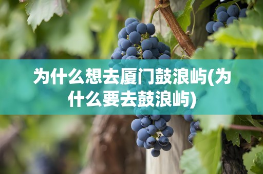 为什么想去厦门鼓浪屿(为什么要去鼓浪屿)