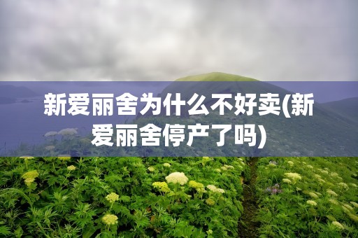 新爱丽舍为什么不好卖(新爱丽舍停产了吗)
