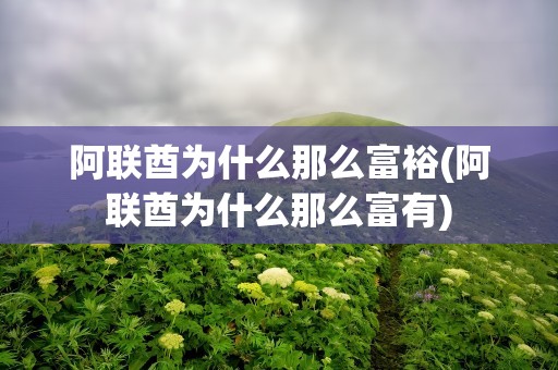 阿联酋为什么那么富裕(阿联酋为什么那么富有)