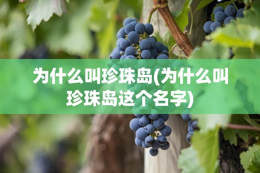 为什么叫珍珠岛(为什么叫珍珠岛这个名字)