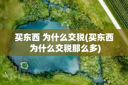 买东西 为什么交税(买东西 为什么交税那么多)