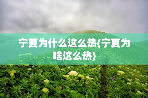宁夏为什么这么热(宁夏为啥这么热)